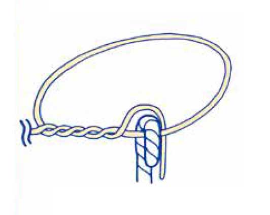  根付の部分でハリスの端と輪を区別して、端の糸を根付、糸と合わせる。