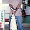 崎浜秀美さん、20キロのトカキン。渡名喜沖での釣果。エサ: グルクンー匹かけ